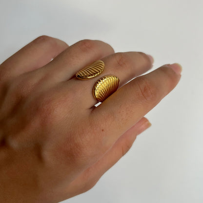 Shell Ring