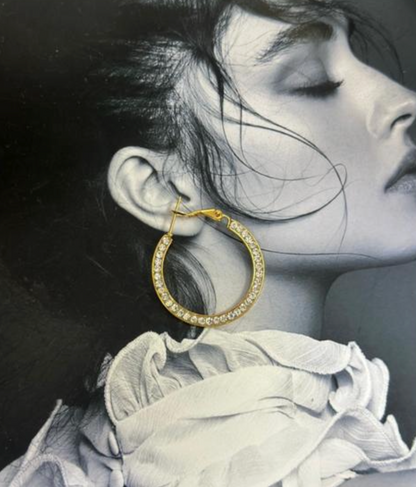 Hoop Earrings